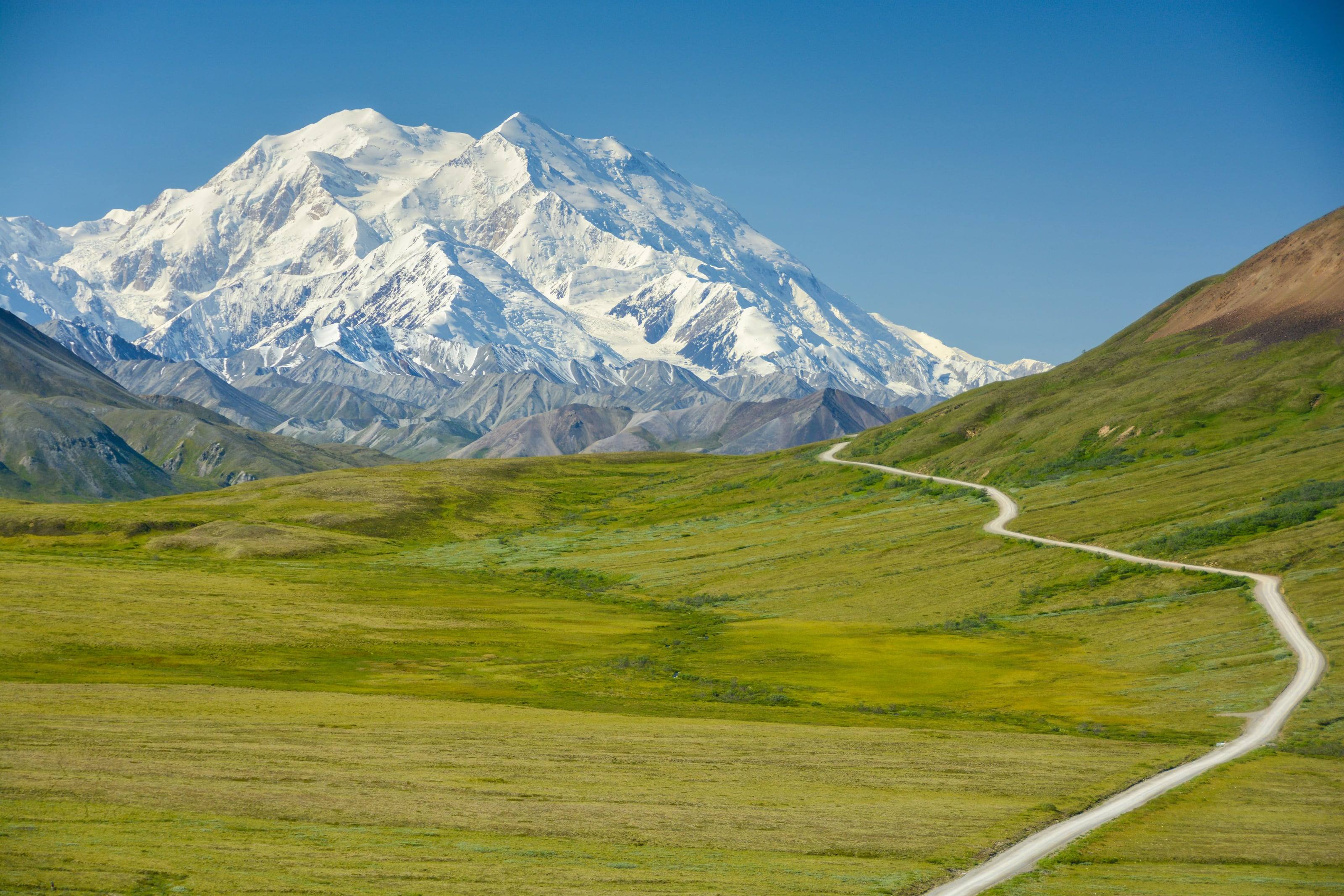 The gravel Denali Park Road crossing open tundra toward the mountain.